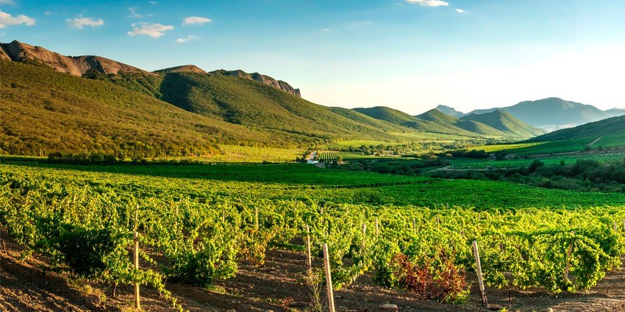 Vale-dos-Vinhedos